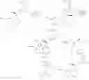 Fig. 69 - Method of preparing amine stereoisomers