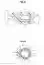 Fig. 06 - Plug body for endoscope