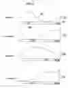 Fig. 07 - Method for simulating musculoskeletal strains on a patient