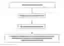 Fig. 01 - Testing therapy efficacy with extremity and/or joint attachments