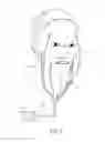 Fig. 04 - MASSAGING MASK