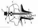 Fig. 01 - Medical instrument for removing objects from narrow passages