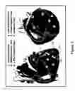 Fig. 04 - Multi-chamber cardiac capture detection using cross chamber sensing