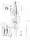 Fig. 02 - Bifurcation stent delivery catheter assembly and method