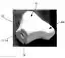 Fig. 01 - Artificial bone