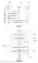 Fig. 10 - Privacy Information Reporting Systems Event Classification and Reporting