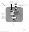 Fig. 04 - Method and system for interaction between a vehicle driver and a plurality of applications