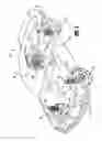 Fig. 02 - Semi-active suspension system with anti-roll for a vehicle