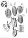 Fig. 03 - Proximate location detection system and method