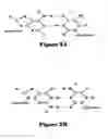Fig. 03 - Method and system for sequencing nucleic acid molecules using sequencing by hybridization and comparison with decoration patterns