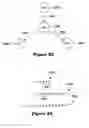 Fig. 18 - Method and system for sequencing nucleic acid molecules using sequencing by hybridization and comparison with decoration patterns