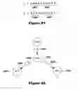 Fig. 19 - Method and system for sequencing nucleic acid molecules using sequencing by hybridization and comparison with decoration patterns