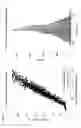 Fig. 02 - VIRTUAL MASS SPECTROMETRY