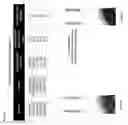 Fig. 04 - VIRTUAL MASS SPECTROMETRY