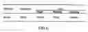 Fig. 07 - Methods of processing biological data