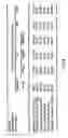 Fig. 09 - Methods of processing biological data