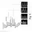 Fig. 06 - Finding and consuming web subscriptions in a web browser