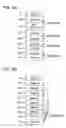 Fig. 09 - Recording apparatus, recording method, program, recording medium, and data recording medium
