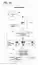 Fig. 07 - Media streaming of web content data