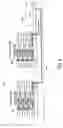Fig. 07 - Memory single-to-multi load repeater architecture