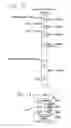 Fig. 14 - Data streamer