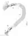 Fig. 03 - Computer cable, junction box for use with computer cable