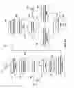 Fig. 20 - Broadcasting venue data to a wireless hand held device