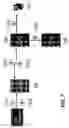 Fig. 08 - Controlling computer program extensions in a network device