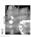Fig. 05 - Marker for undifferentiated state of cell and composition and method for separation and preparation of stem cells