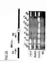 Fig. 06 - Marker for undifferentiated state of cell and composition and method for separation and preparation of stem cells