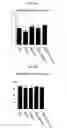 Fig. 11 - CD9/CD81 double-deficient non-human animal