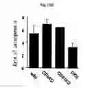 Fig. 16 - CD9/CD81 double-deficient non-human animal