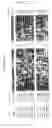 Fig. 06 - Novel miniature inverted-repeat transposable elements (MITEs)-like element and transcriptional activation element