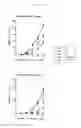 Fig. 13 - Novel miniature inverted-repeat transposable elements (MITEs)-like element and transcriptional activation element