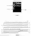 Fig. 03 - Leaf-specific chlorophyll a/b binding protein gene promoter from oil palm