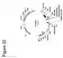 Fig. 33 - Nucleotide sequences mediating male fertility and method of using same