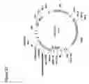 Fig. 34 - Nucleotide sequences mediating male fertility and method of using same