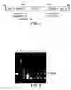 Fig. 02 - Technique for extending biological sugar chain via introduction of glycosyltransferase gene