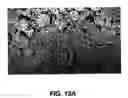 Fig. 12 - Reticulated material body support and method