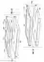 Fig. 23 - Reticulated material body support and method