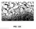 Fig. 12 - Reticulated material body support and method