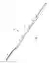 Fig. 02 - Extendable cleaning implement having two support heads