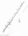 Fig. 03 - Extendable cleaning implement having two support heads