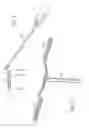 Fig. 06 - Extendable cleaning implement having two support heads