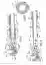 Fig. 13 - Extendable cleaning implement having two support heads