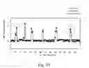 Fig. 11 - Foreign matter removing apparatus