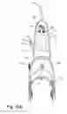 Fig. 57 - Surface cleaning apparatus with cleaning fluid supply