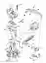 Fig. 06 - Bare floor shifter for vacuum cleaner