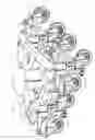 Fig. 07 - Articulated caster