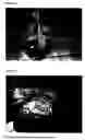 Fig. 11 - 